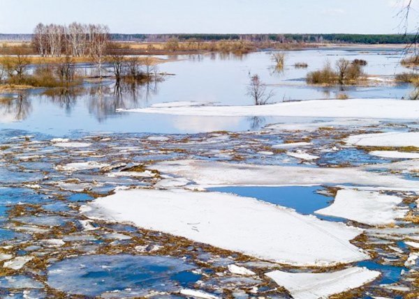 Весеннее половодье