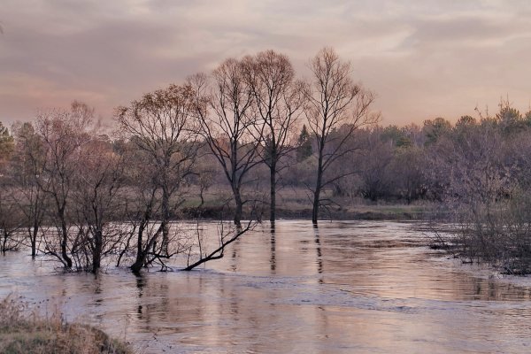 Паводки в Ивановской области в Плесе