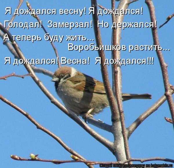 Дождались весны