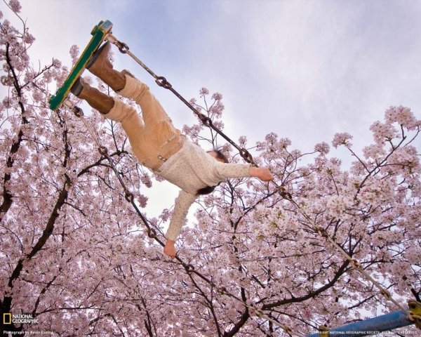 Подснежники в корзине