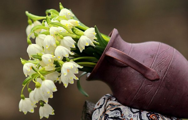 Весны прекрасные мгновения