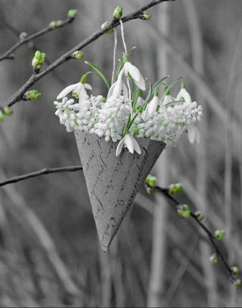 Природа Японии