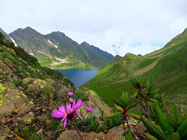 Кодорский хребет