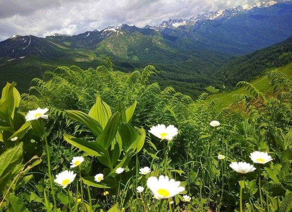 Альпийские Луга Гагра