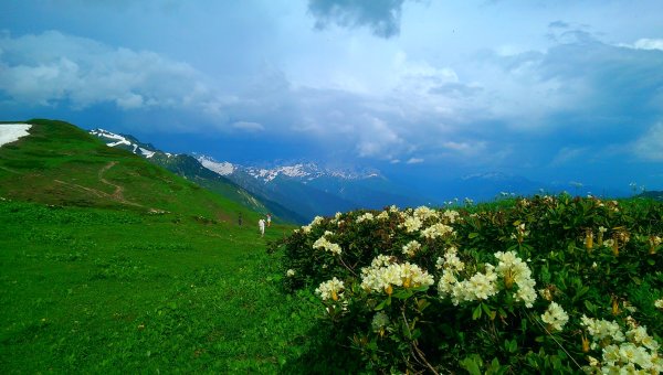Альпийские Луга Абхазия