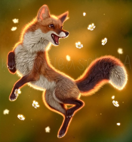 Весенняя лиса