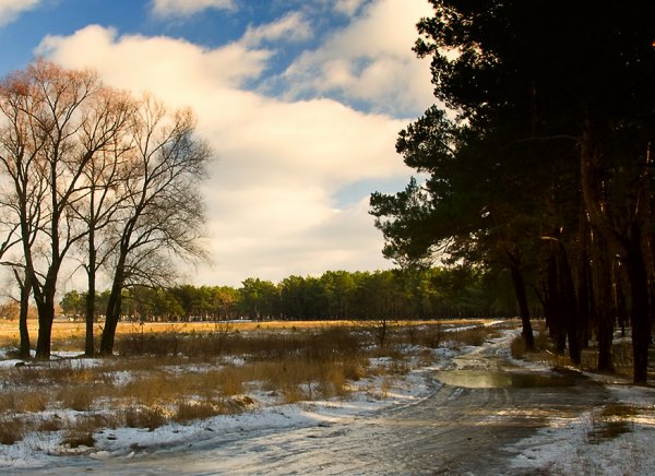 Оттепель природа