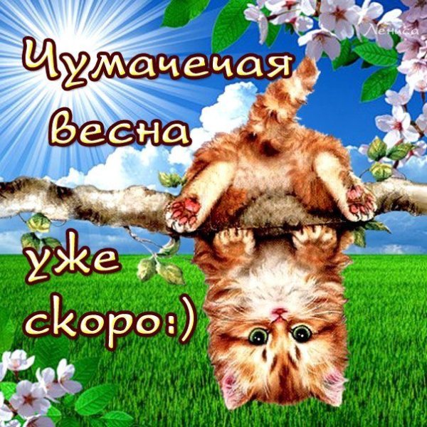 Ура скоро Весна