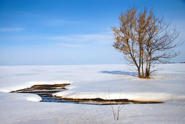 Весенняя оттепель фотоработы