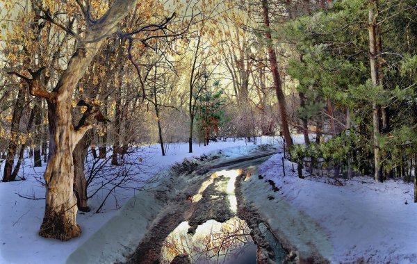 Оттепель природа