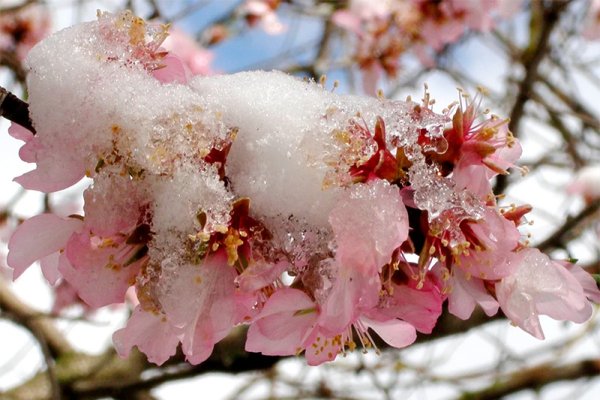 Весенняя оттепель