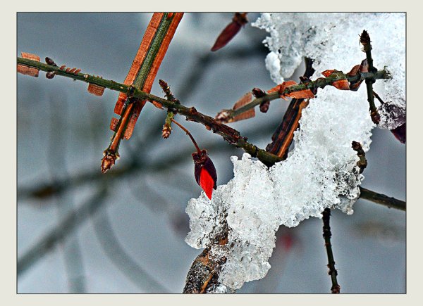 Снег оттепель