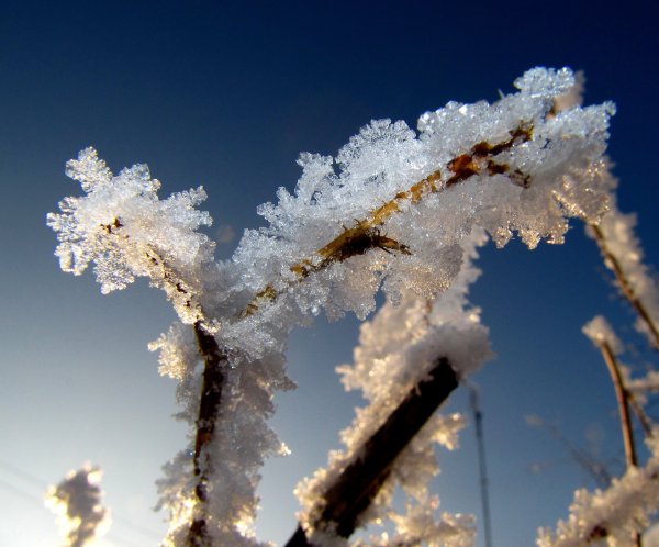 Весенняя оттепель