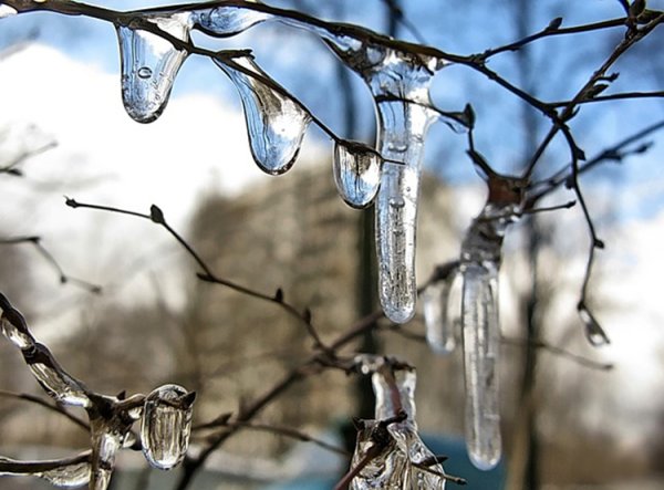 Ранняя Весна капель