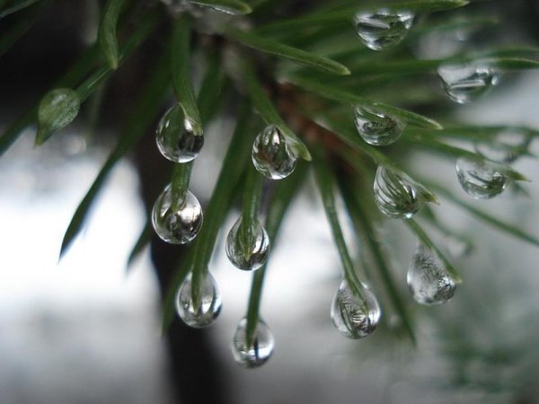 Весна оттепель