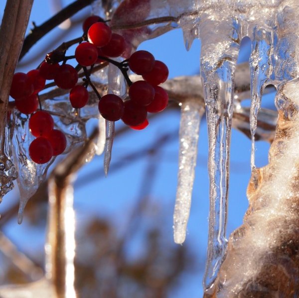 Весенняя оттепель