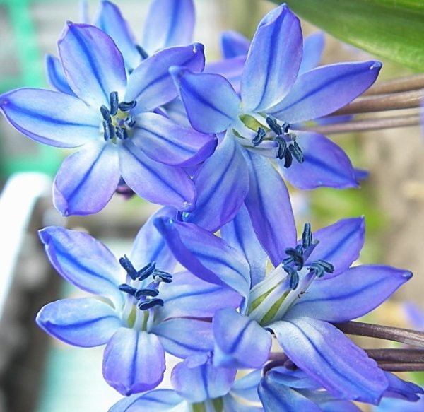 Приколы про весну