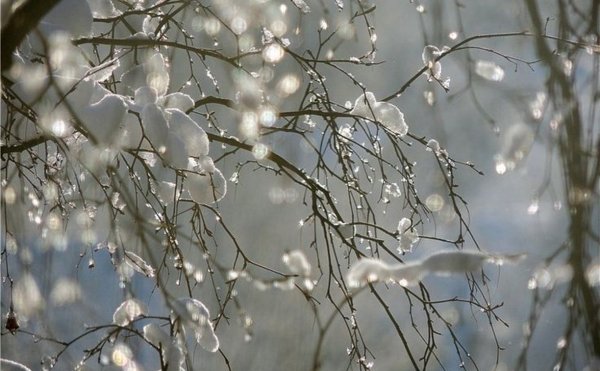 Апрель капель