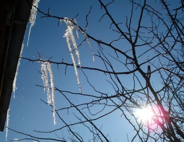 Потепление зимой