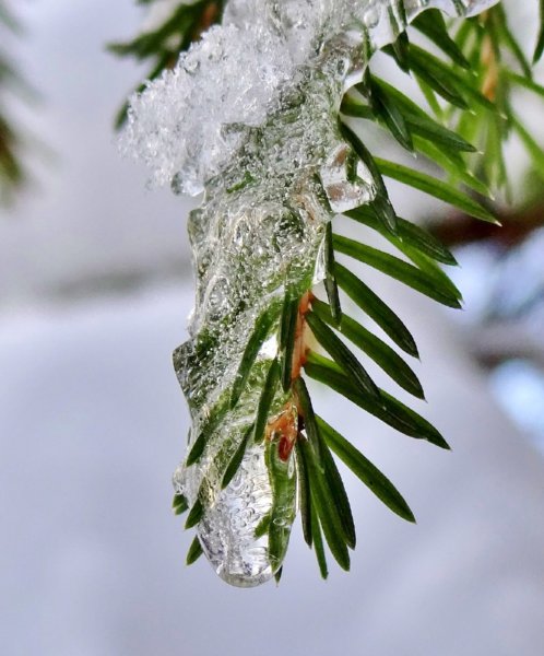 Весенняя оттепель