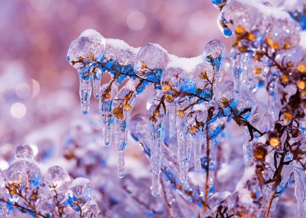 Весна оттепель