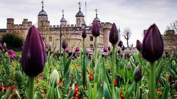 Лондон весной