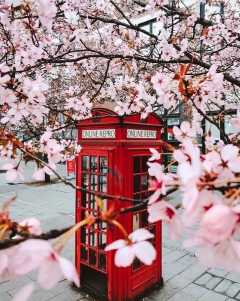 Весенний Лондон