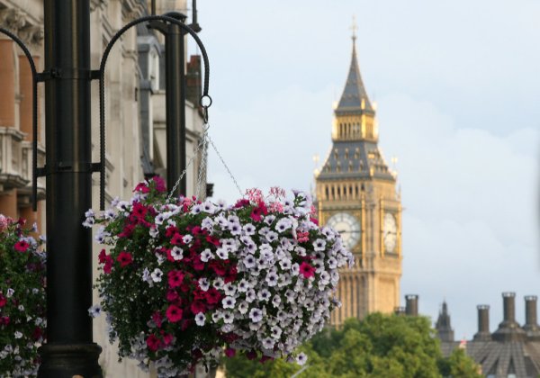 Цветущая Англия