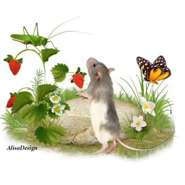 Мышь с клубникой