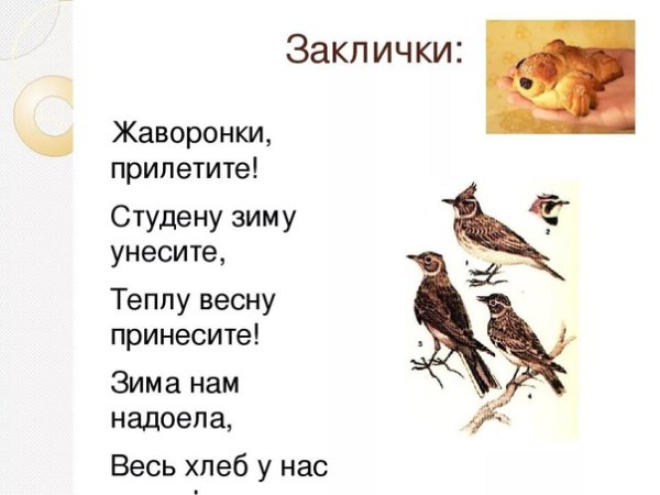 Закличка о весне Жаворонки прилетите