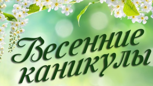 Весенние каникулы