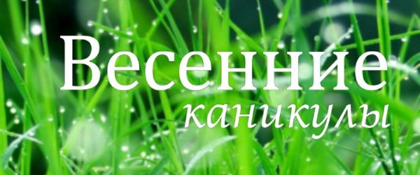 Нескучные каникулы