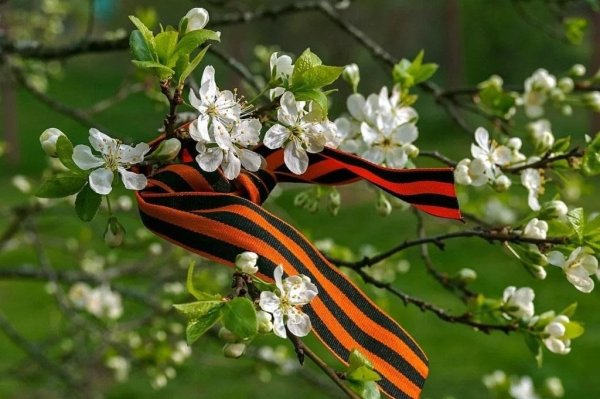 Весна май победа