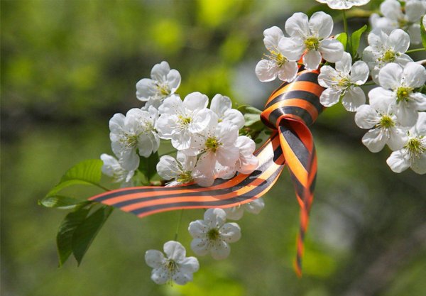 Победный май