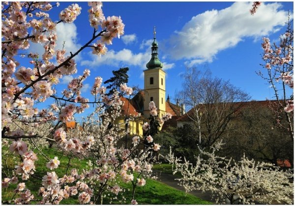 Прага Чехия весной