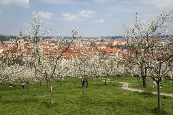 Прага Чехия весной