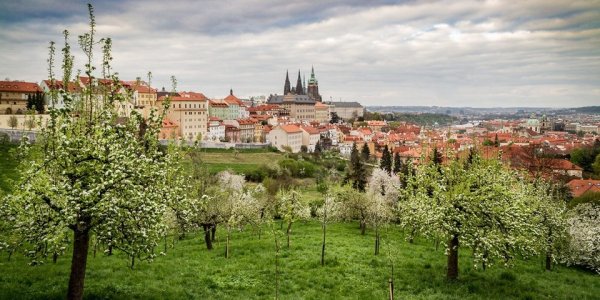 Чехия фото Прага весной 2021