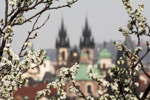 Весна в Праге