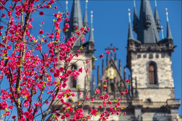 Чехия Прага Весна