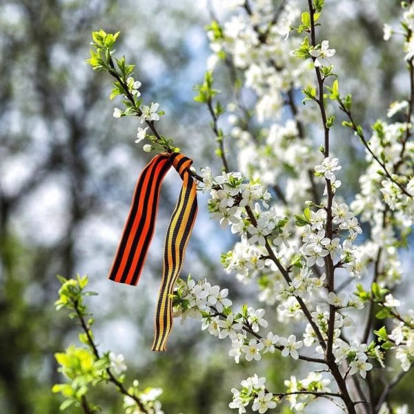 Весна 45 года Дунай