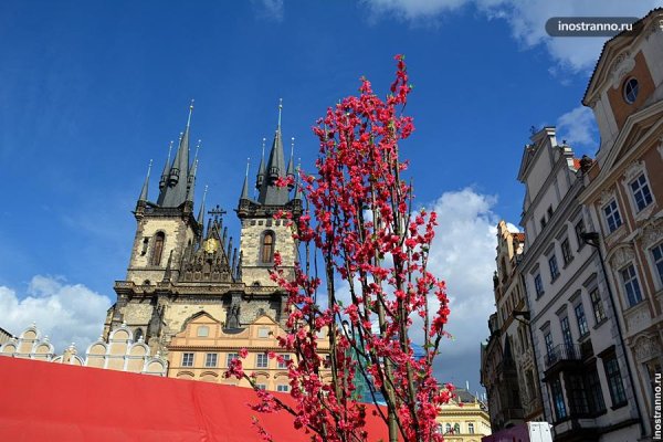 Прага Чехия весной