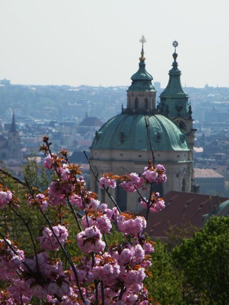 Прага цветет
