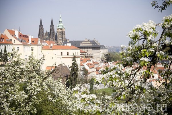 Весна в Праге