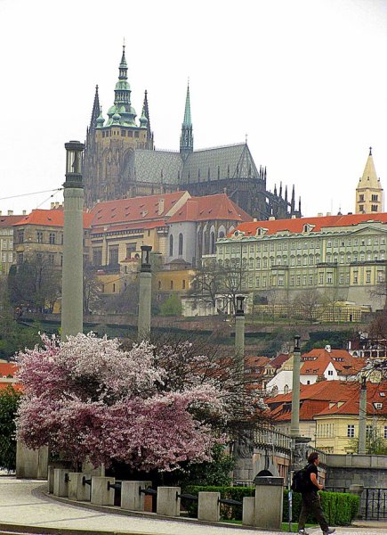 Цветущая Прага апрель
