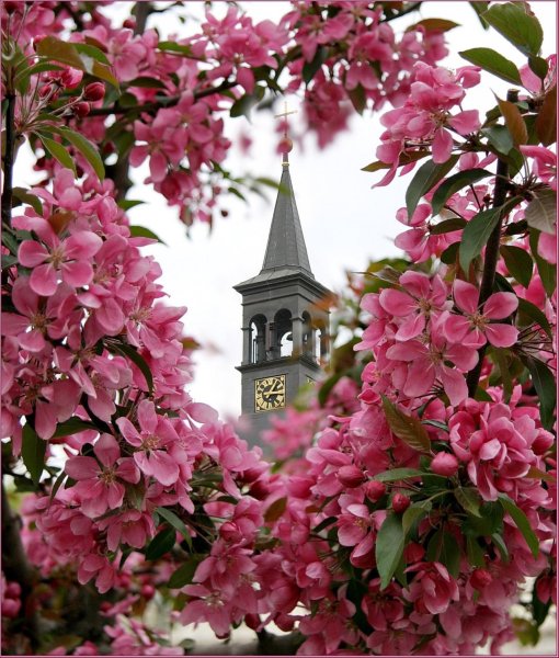 Цветущая Прага апрель