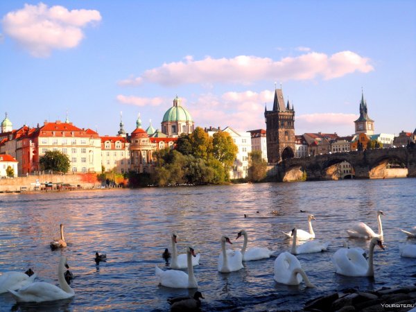 Чехия Прага природа