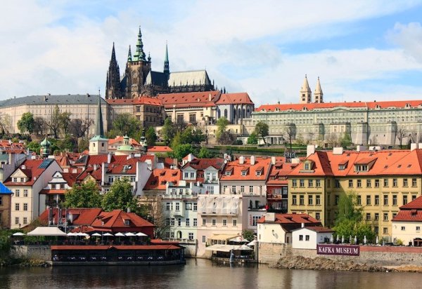 Чехия Чехословакия деревья Прага