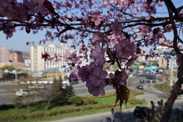Весна в городе фото
