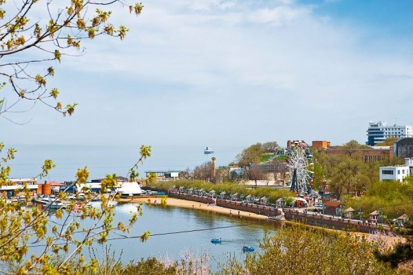 Цветущие деревья Владивостока