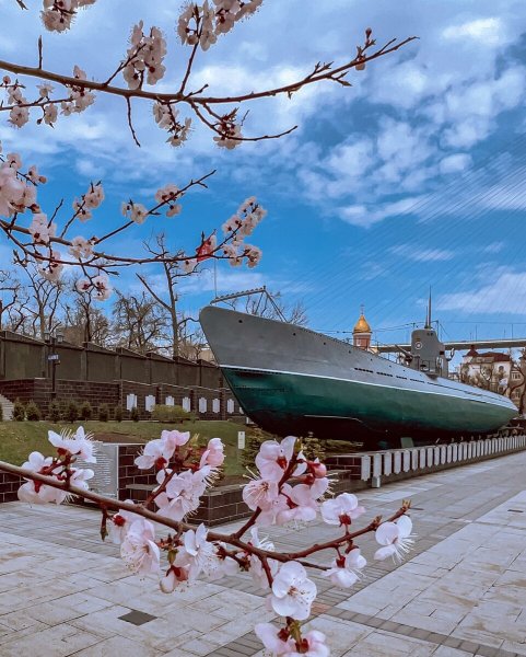 Владивосток Сакура набережная